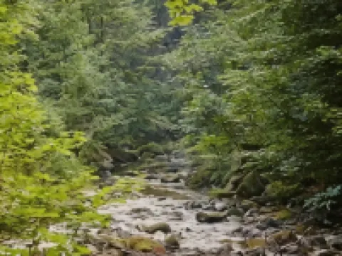 Kurpark Flair Hotel Im Ilsetal Hotels in Ilsenburg