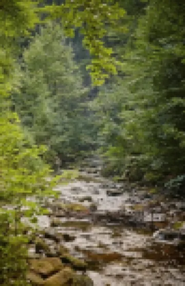 Kurpark Flair Hotel Im Ilsetal