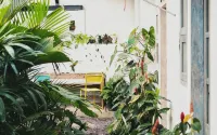 Betah Homestay Banyuwangi