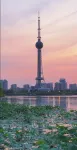 QIANNA LINQI HOTEL (Jiaozuo Jianshe Road Railway Station Branch) - Romantic