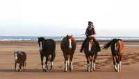 Rizhao Stardust Traveler Hotel - Ocean View
