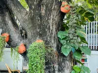 A Luxury Duplex in Dili City, Timor-Leste Hotel di Dili