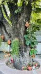 A Luxury Duplex in Dili City, Timor-Leste Hotels in 
