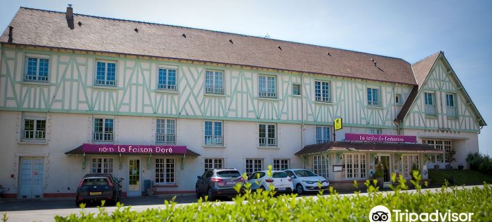 Logis hôtel Restaurant le Faisan Dore Hotele w: Orne