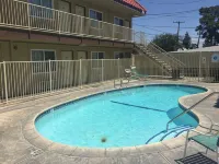 Sands Motel - مسبح