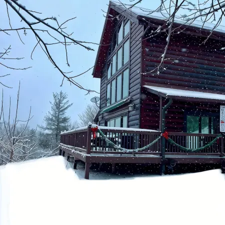 Cozy Mountain Adventure for All-Family, Friends and Furry Pups!