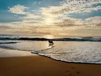 Beach Escape Wth Hot Tub - Walk to Ocean - Dog Friendly - Beach