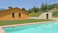 House / Villa - Cetona - piscina