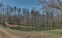 Piney Knob Cabin  15 Min To Lake Lure - 30 Min To Tiec - Hot Tub - Stocked Pond