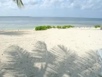 The Pools #1- the Luxury Beachfront Hideaway with Private Pool - 비치