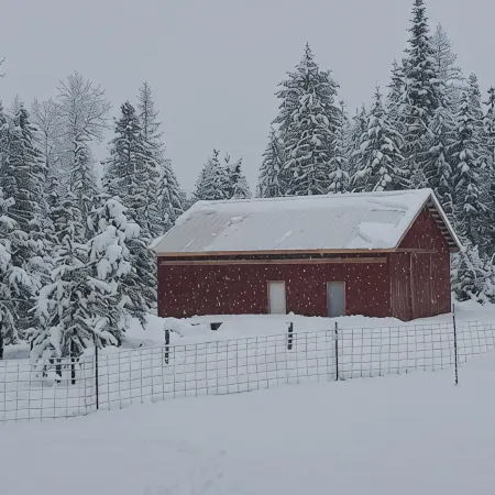 Cabin on a working homestead in Heron, Mt.  " Heifer, Pork and Pecker Farm"