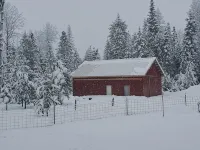 Cabin on a working homestead in Heron, Mt.  " Heifer, Pork and Pecker Farm" - 2-Star