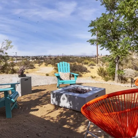 The Joshua Tree Desert Duo - A