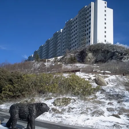 Grandfather Glory. A Luxury Condo With Spectacular View of Grandfather Mountain