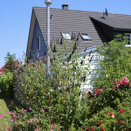 Luxurious FH Near the Dike, Sauna, Fireplace, Garden, Beach Chair (8 Adults & Baby)