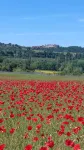 Charming house classified 4 stars in Luberon Protected Natural Regional Park - 3-Star