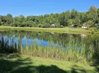 Pet friendly home, pond, paddle boat, fishing gear, hiking, wineries, game room - 3-Star