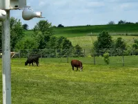 Jemma’s Hideaway in Amish Country - 3-Star