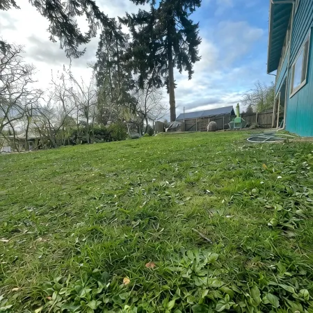 Tracktown & Duck Fans Enjoy! Sleeps 6, Spacious 1600sq ft + Private Yard!