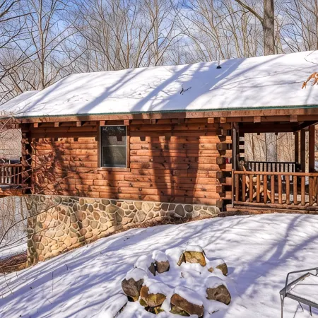 Bear Hugs cabin nestled in the woods.