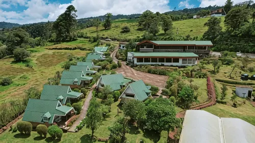 Hortensias Chalets Vara Blanca