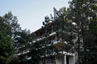 Punarnava Wellness Resort & Spa - 2성급