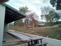 Hazyview Buffalo Game Lodge Hotels in Mbombela
