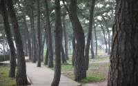 Geoje Island New Happy Pension (Mongdol Beach) - เพนชั่น