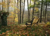 Perfect Getaway - Your Sanctuary Among Nature