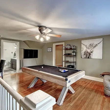 Fort Henry - Pool Table, Fire Pit, Prime Location in Kingsport