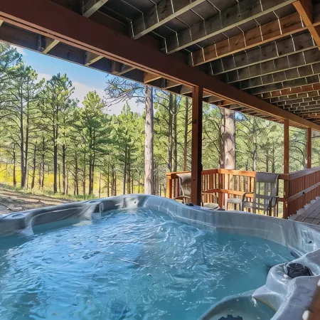 The Reinerheim Cabin Centrally Located and Close to Lake Pactola