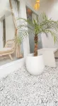 EZE Villas Jogja - 3 stjerner