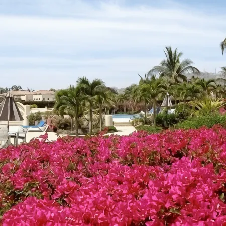 3700 Sf Oceanfront Penthouse in Cabo Mexico - Las Mananitas