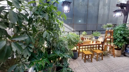 alley homestay Lieu Giai - Pensionat