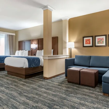 Comfort Inn & Suites Downtown Near University