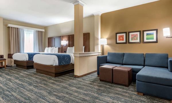 Comfort Inn & Suites Downtown Near University