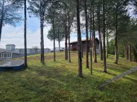 Maples Lakefront Blessing w/ private boat dock/lake access kayaks & paddle boat - Chalets