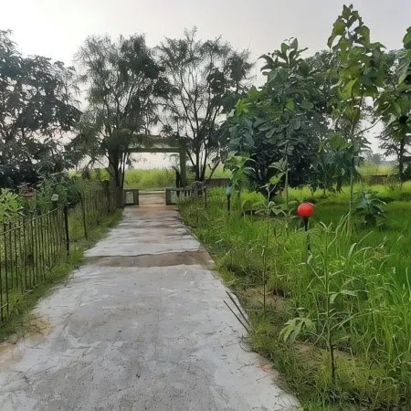 Tharu Mango Garden Resort