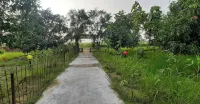 Tharu Mango Garden Resort - Aamiainen