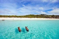 Romantic Cottage directly on the Beach! - 3 tähden