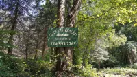 Seven Springs Cabin - Luna Chalet - Authentic, Pet Friendly Log Cabin - Chalets