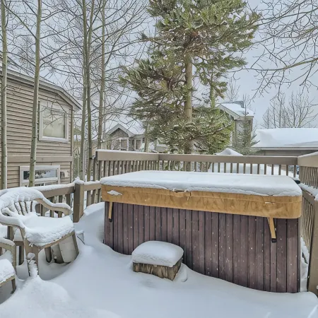 2-BD 3-BDR Ski Cabin