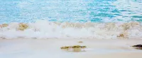 House of Open Arms Villa, Above Hurricane Hole, White Water Views,Romantic! Pool - Villas