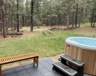 Angel Fire Chalet Nestled in the Pines, convenient to Ski and Golf w/Hot Tub - Chalets