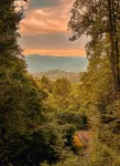 大煙山國家公園全年可賞壯麗景色的D-Log木屋 - 木屋