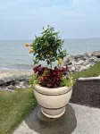 Our Lake Blyss 3 Bed/2 Bath Condo at the ShoresCheck Out Our Fall Rates!! - 4-Star