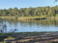 Spacious Lake House with Sam Rayburn Water Frontage - 4-Star