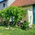 Ferienwohnung am Steinhuder Meer - Wi-Fi