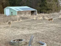 Peaceful Secluded Farmhouse - 10 minutes from Bonner's Ferry - Wifi