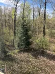 Cozy vacation home nestled in a quiet wooded area. Near town but private - Wifi